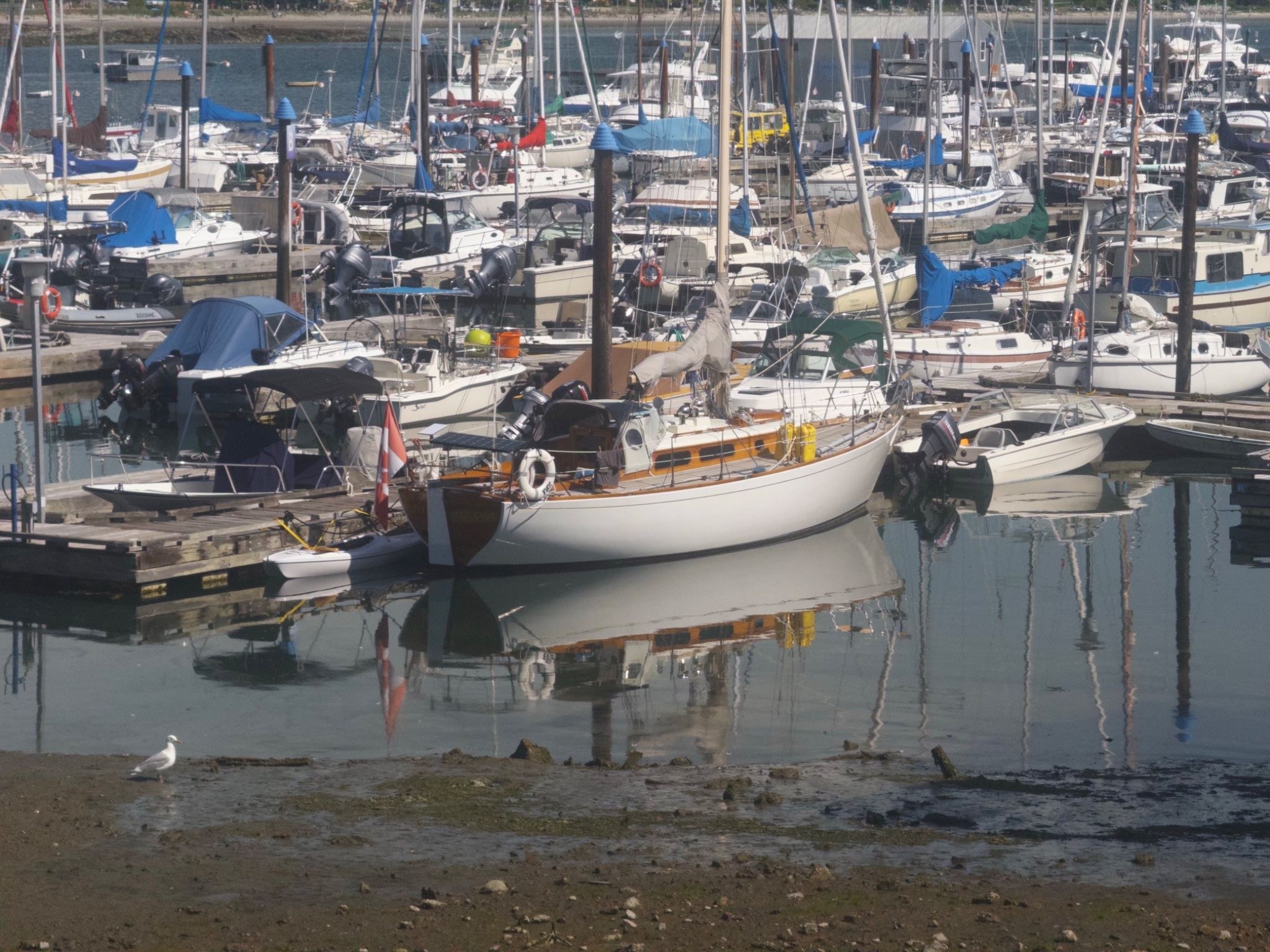 Oak Bay Marina, 15 Jun 2026