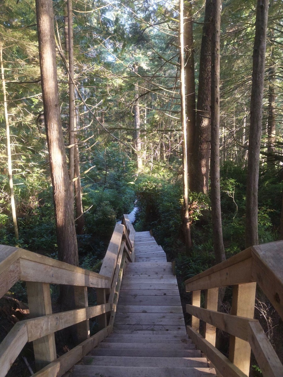 Hot Springs Cove, 28 May 2026