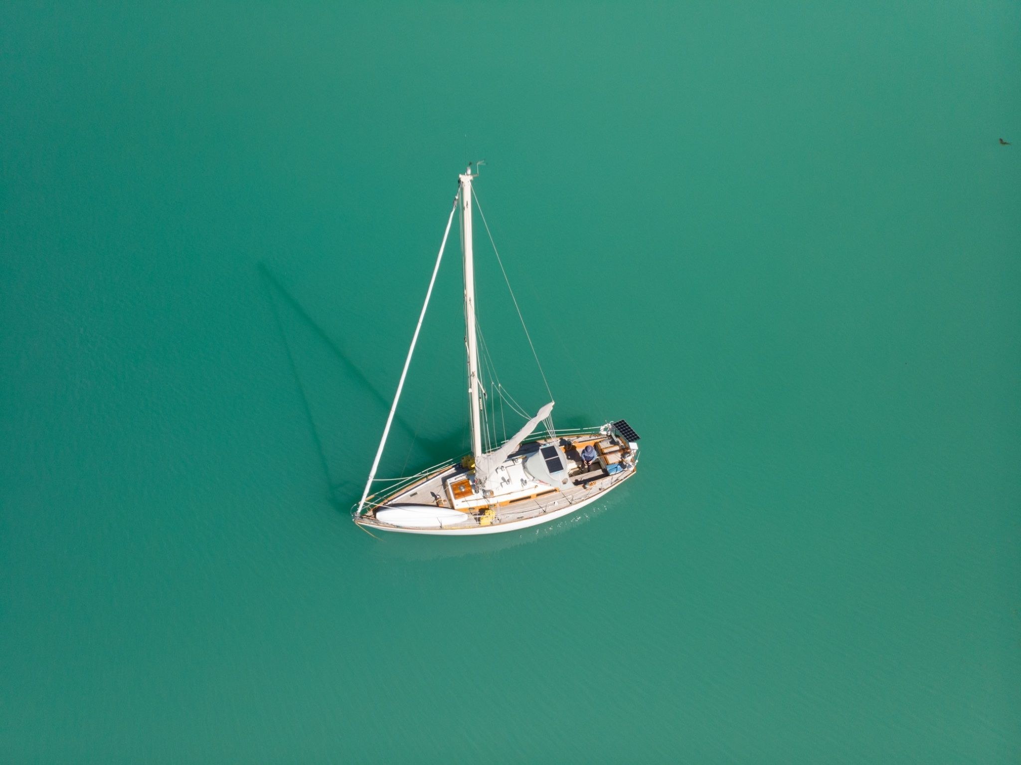 Whitepine Cove, 31 May 2026