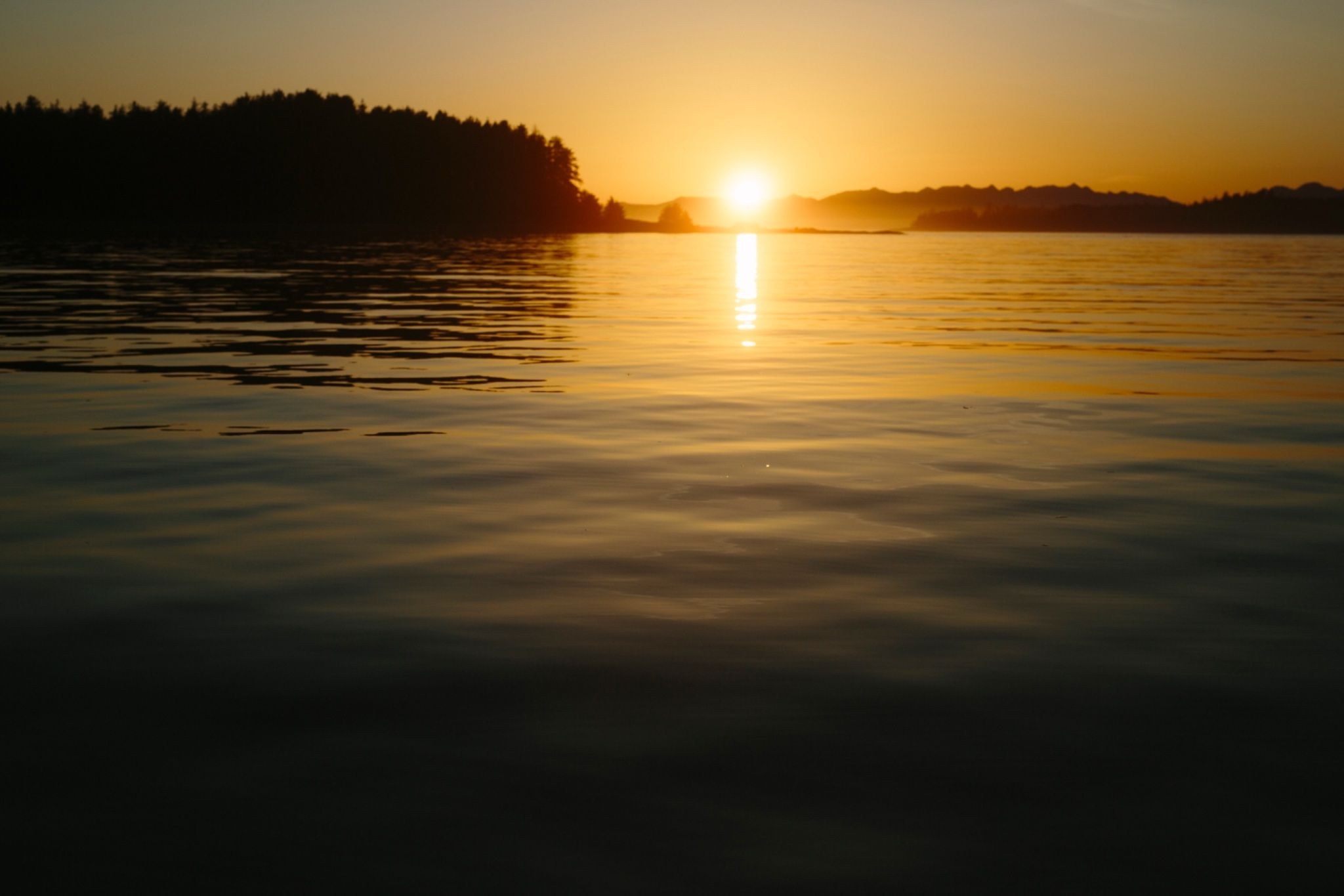 Barter Cove, 3 May 2026